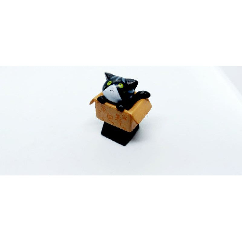 Baby Cat in Box Keycap(CK)