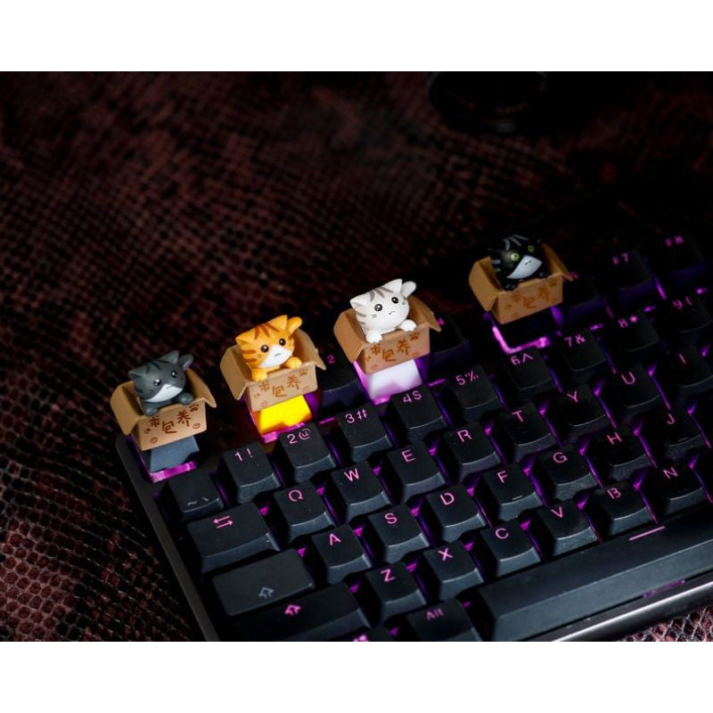 Baby Cat in Box Keycap(CK)