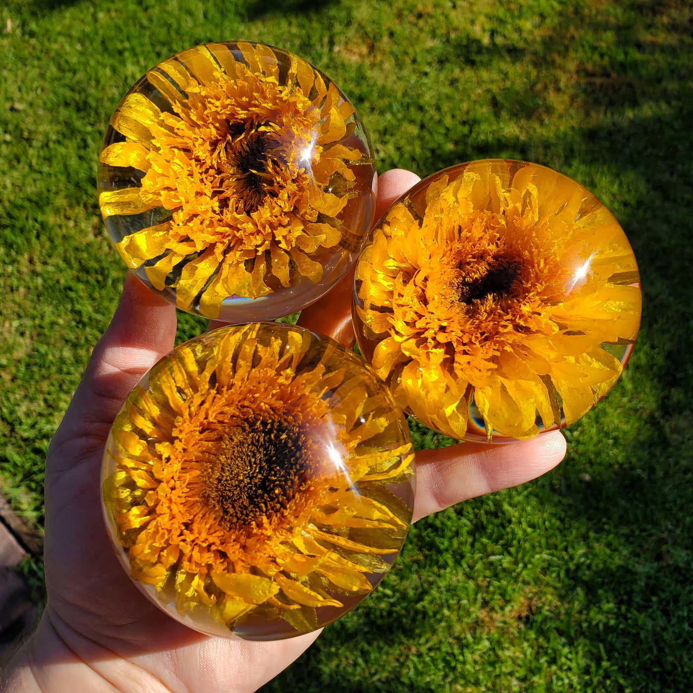 Sunflower Resin Sphere with Light Base