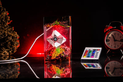 Destiny 2 Night Light