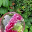 Pink Carnation Resin Sphere