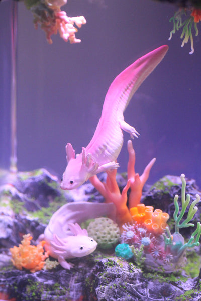 Axolotl resin lamp NEW