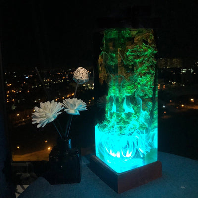 Resin Epoxy Wooden Night Lights(SGR)