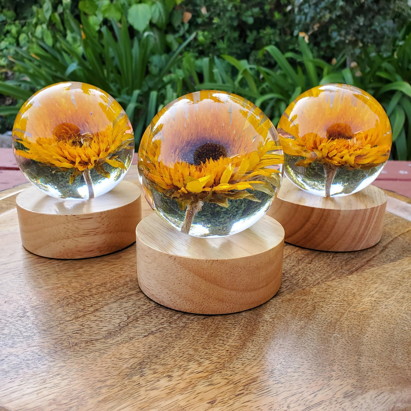 Sunflower Resin Sphere with Light Base