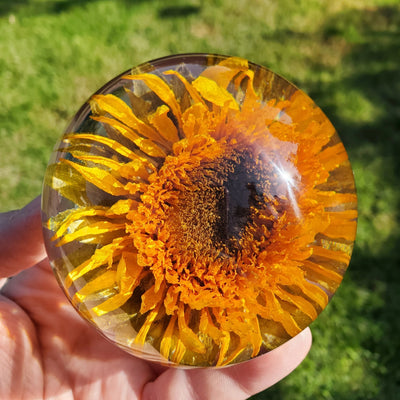 Sunflower Resin Sphere with Light Base