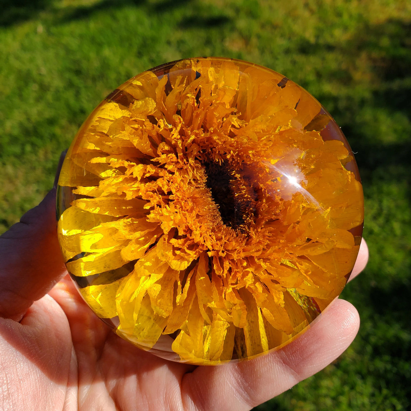 Sunflower Resin Sphere with Light Base